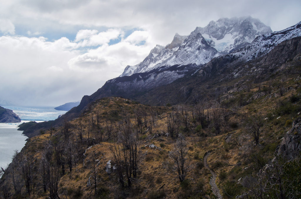 Glacier Grey Lies Just West of the Cordillera del Paine Mountain Range