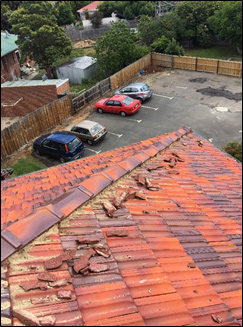 Tasmanian Cowboys: Crumbling Terracotta Roof Tiles