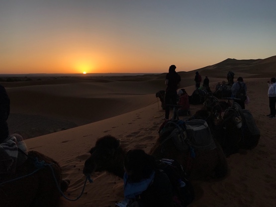 Sunrise in the Sahara