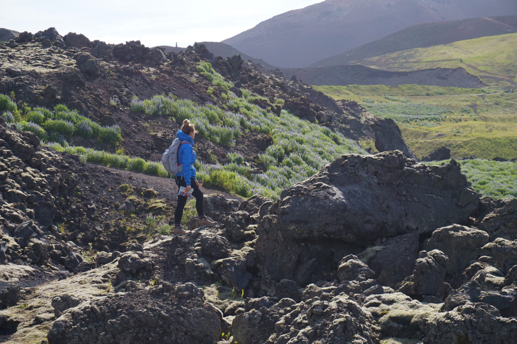 Hiking in the Icelandic lava fields
