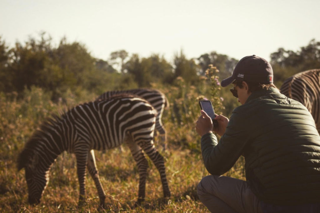 Chilling with zebras in Zimbabwe