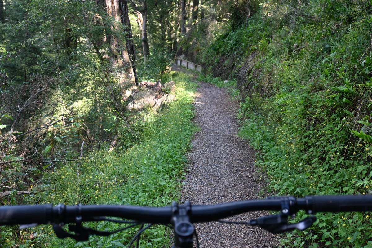 Mountain Biking in Te Anau