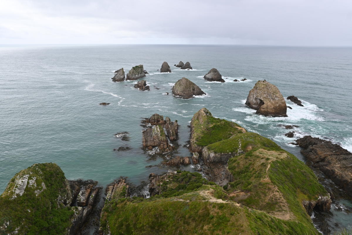 Nugget Point Nuggets