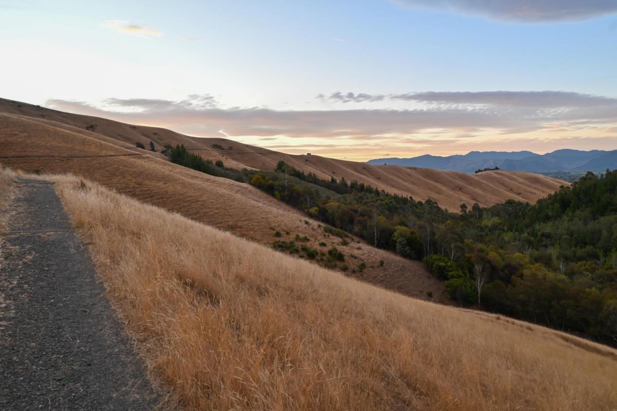 The Scorched Fields of Blenheim