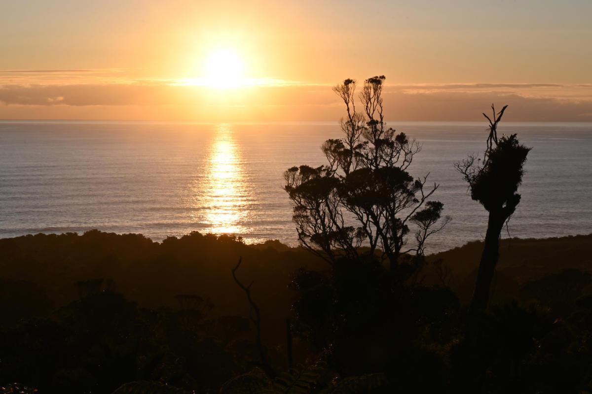 New Zealand Road Trip Views (3)