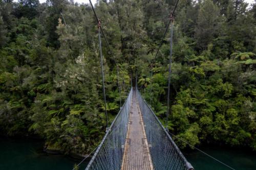 Abel Tasman Cable Bridge
